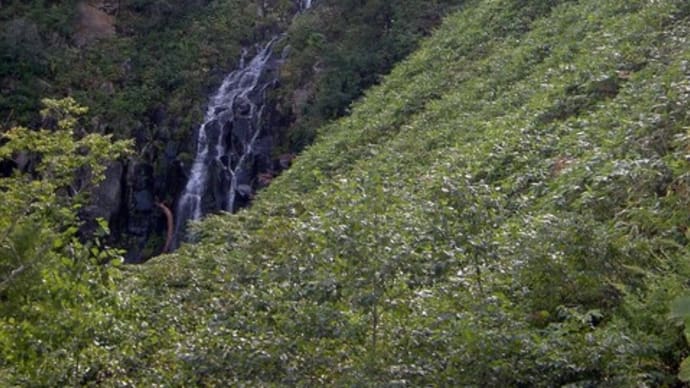 白老町の滝【源白老川の滝・白滝】【再訪】