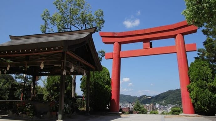白雲大社の花手水~2024年