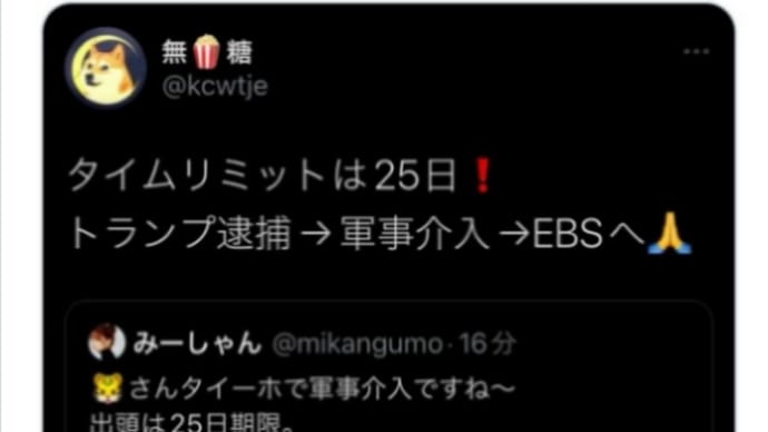 トランプ出頭逮捕→軍事介入→EBS緊急放送(平和放送)へ!トランプ氏8月24日にジョージア州拘置所に出頭へ!軍事的唯一の方法!タイムリミットは25日!ネサラゲサラがやって来る!