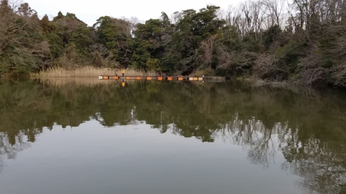 管釣りルアー⑦