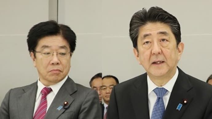新型コロナウイルスの診断と治療の体制の確立を