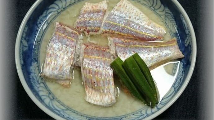 (五島弁)ほねがましか