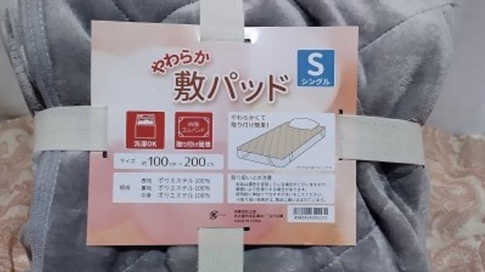 公成/やわらか敷パッド、冬用の予備なんだね:D