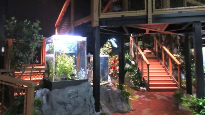 沖縄滞在記～DMMかりゆし水族館