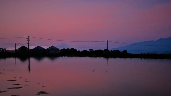 水鏡水田