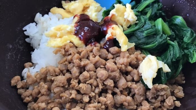ソイミート三色丼