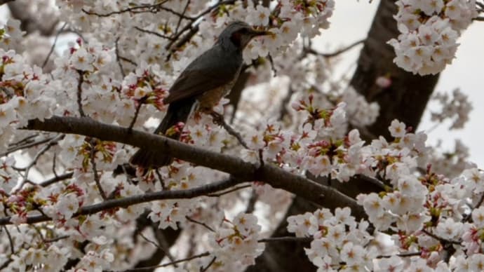 今日いち-2025年4月16日