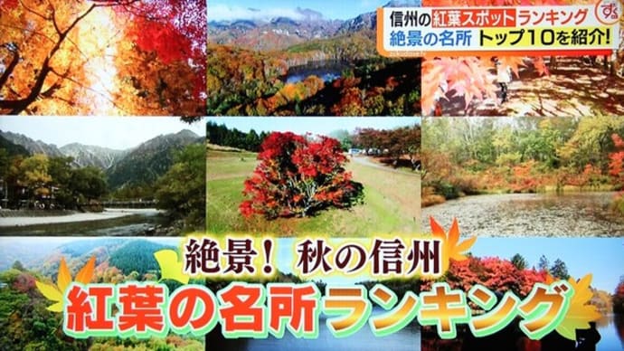 信州の紅葉だよりを・・・・・!
