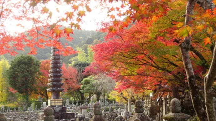 2021年・化野念仏寺の紅葉　＠　京都妖怪探訪（７５７）