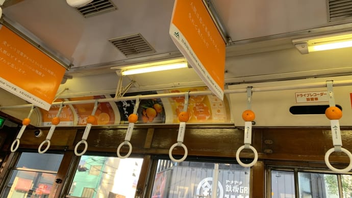 いよいろいろだニャ