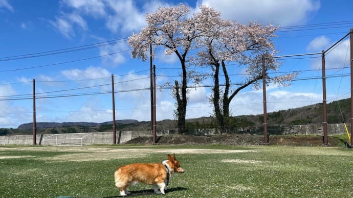☆嬉しい出来事☆