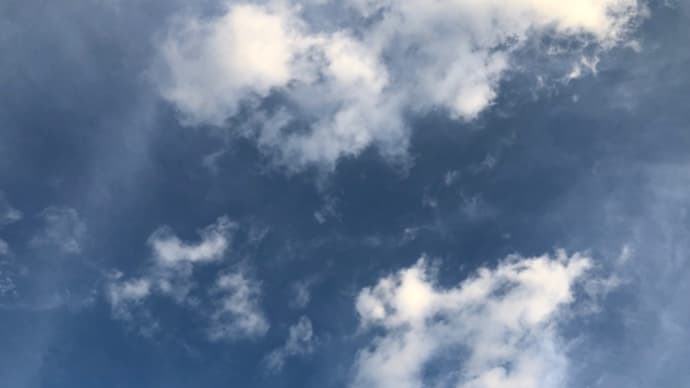 海の日〜 らしいよ( ̄▽ ̄)