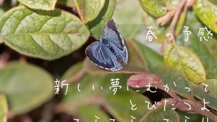 春の予感