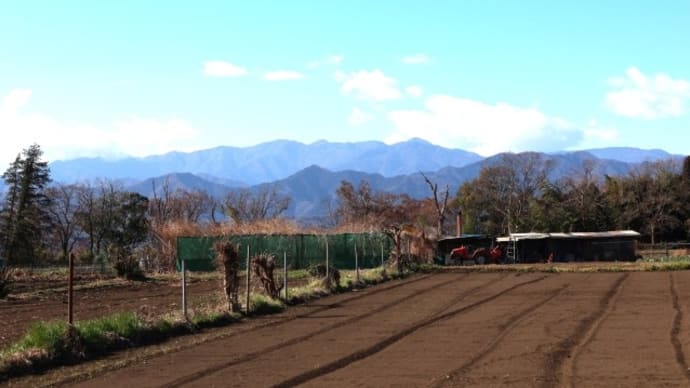 初春の散歩道から公園へ