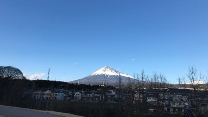 クリボーのニャルソック
