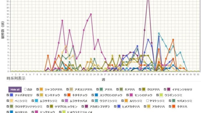 【蝶雑記】2024トランセクト調査まとめ