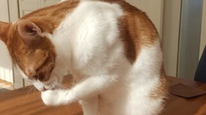 はま寿司、行ってびっくり!