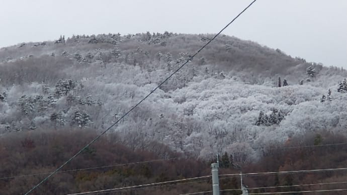 セルフでリハビリ