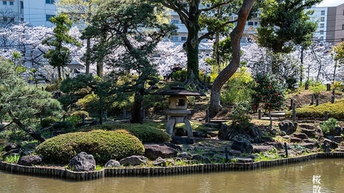 川辺の庭園。