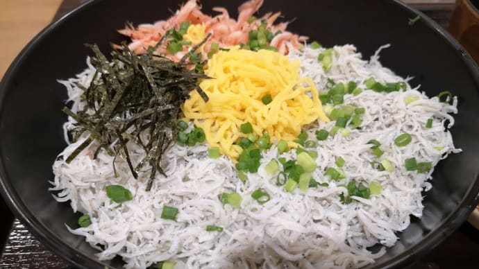 駿河(6)駿河湾沼津SA_するが食堂:釜揚げシラス桜えび丼+しらすの沖漬け