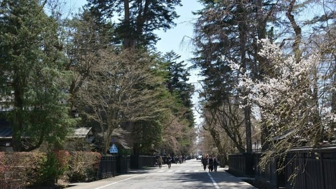 角館武家屋敷通り【秋田県仙北市】