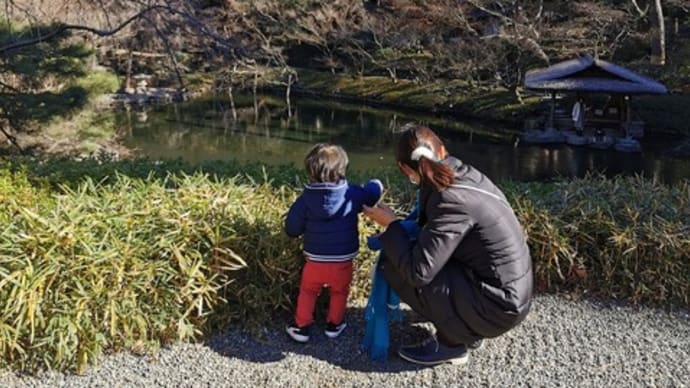 『八芳園のお庭をお散歩···』