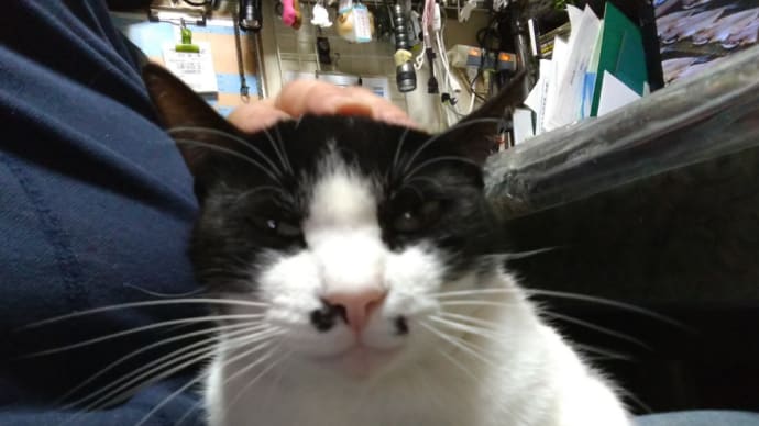 前はスライドショーだったんだけど