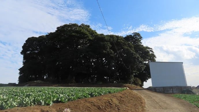 空が美しかった昨日、三浦市の日枝神社へ