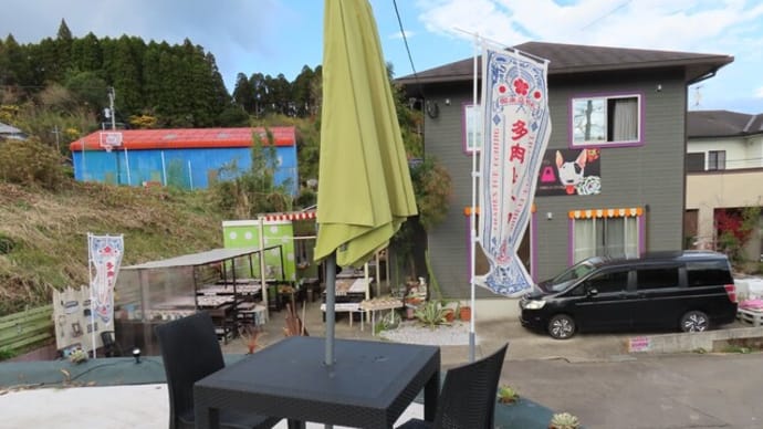 田野町・多肉植物レトロ