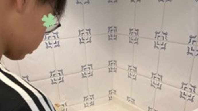 サクサク細ポテト
