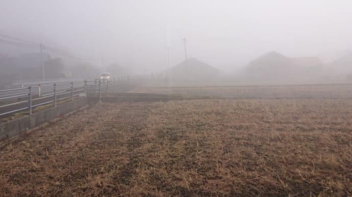 霧の深い朝でした、