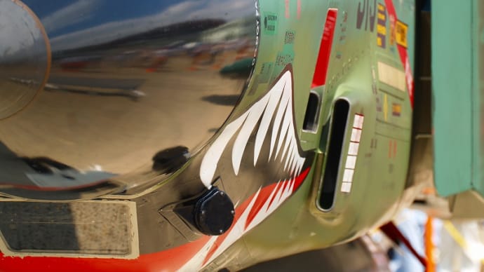 2007百里基地航空祭 RF-4F機首