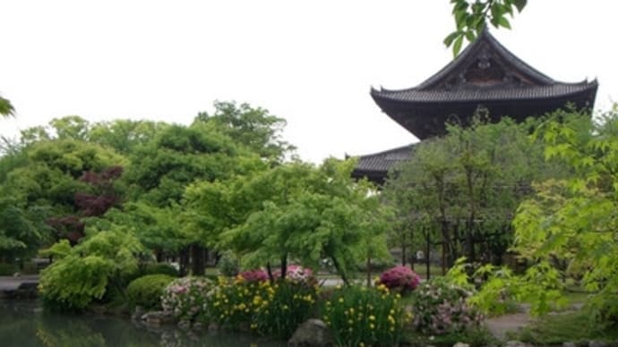 京都妖怪探訪（１１８）：雨の東寺（その３）・雨上がりの庭園と五重塔