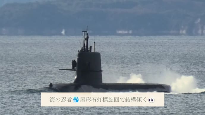 海の忍者🐳屋形石灯標旋回で結構傾く👀