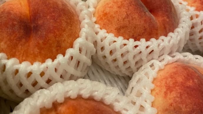 夏季休暇。