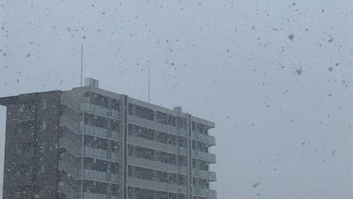 雪です