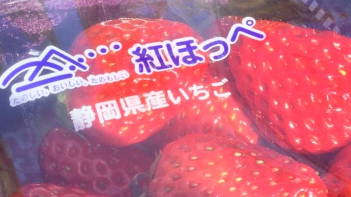 春一番から一転 北風