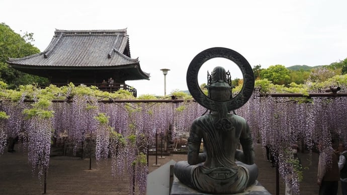 本庄市藤のお寺　長泉寺へ