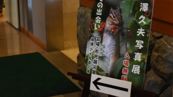 竹澤久夫写真展 ー森での出会いー