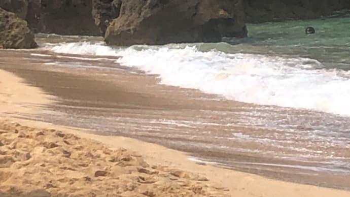 恋島💖