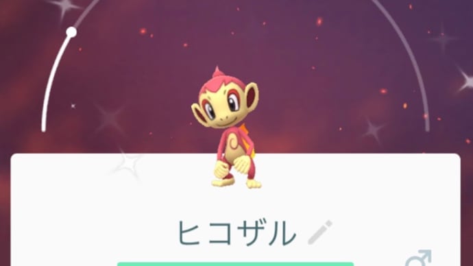 ヒコザルのコミュニティデイ