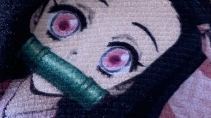 ジャノメミシン　“マリーナ” 