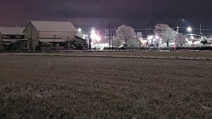 初雪❄つもる