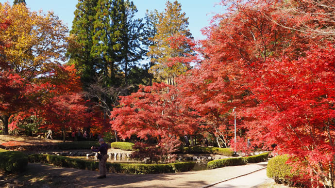 曽木公園の紅葉