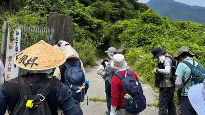 甲州街道 第11回 上花咲から黒野田