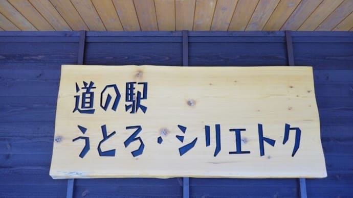 北海道車中泊の旅(2023年‐14) 白いハマナス