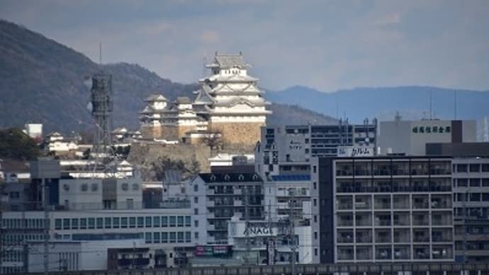 今日の姫路城 (2018.1.6) と 水族館