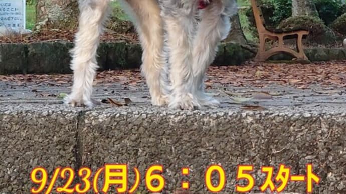 9/23(月)もう秋!?本当に秋❗️❗️〜🎵情熱の花(ザ・ピーナッツ)