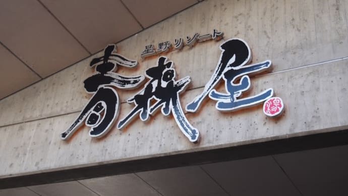 19年01月のブログ記事一覧 でこのブログ 私好みの宿日記