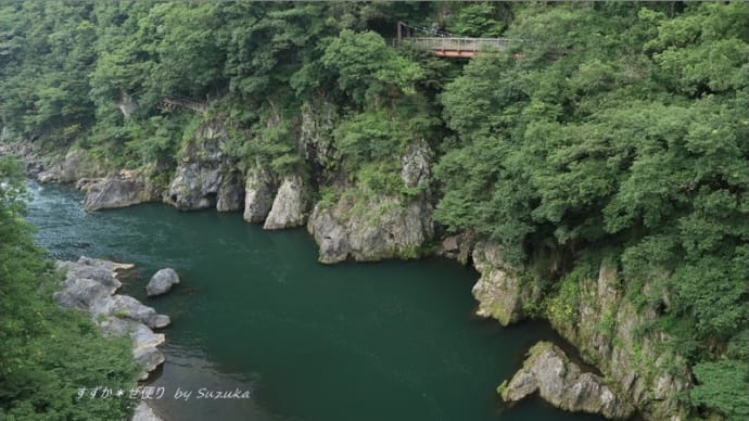 高津戸峡・夏